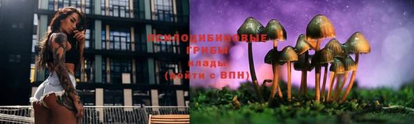 мефедрон мука Нефтегорск