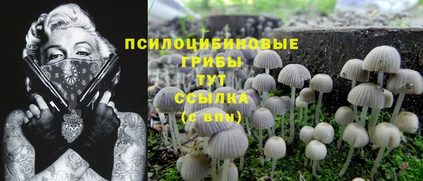 Альфа ПВП Нефтекумск